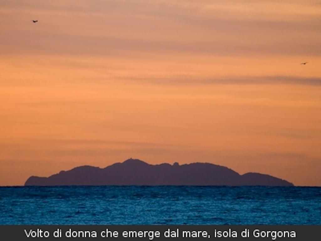 Hotel Signorini Castiglioncello Zewnętrze zdjęcie